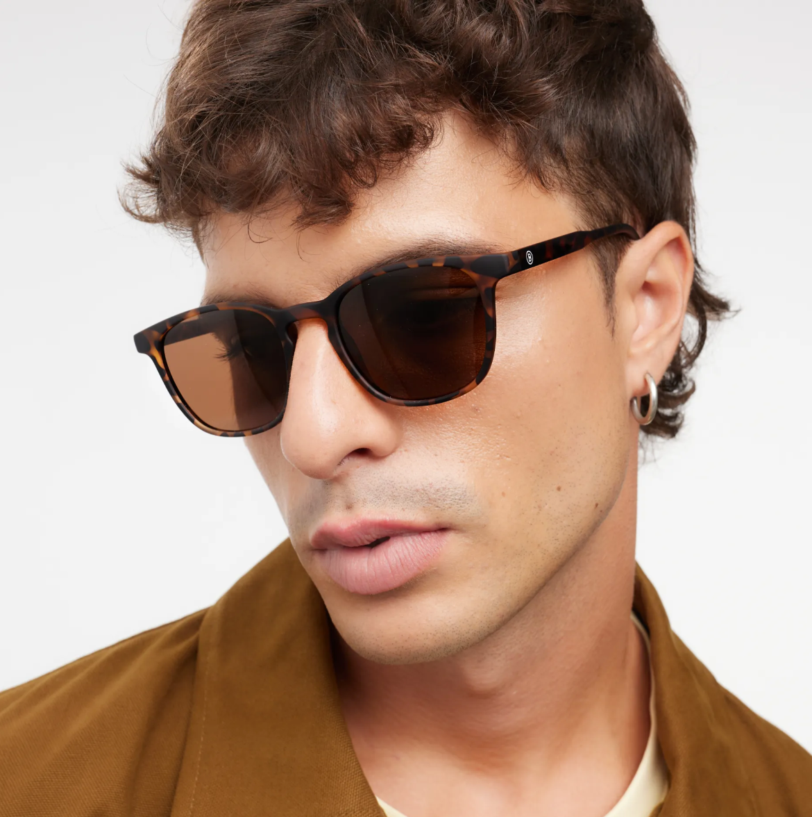 Dalston Tortoise Sun