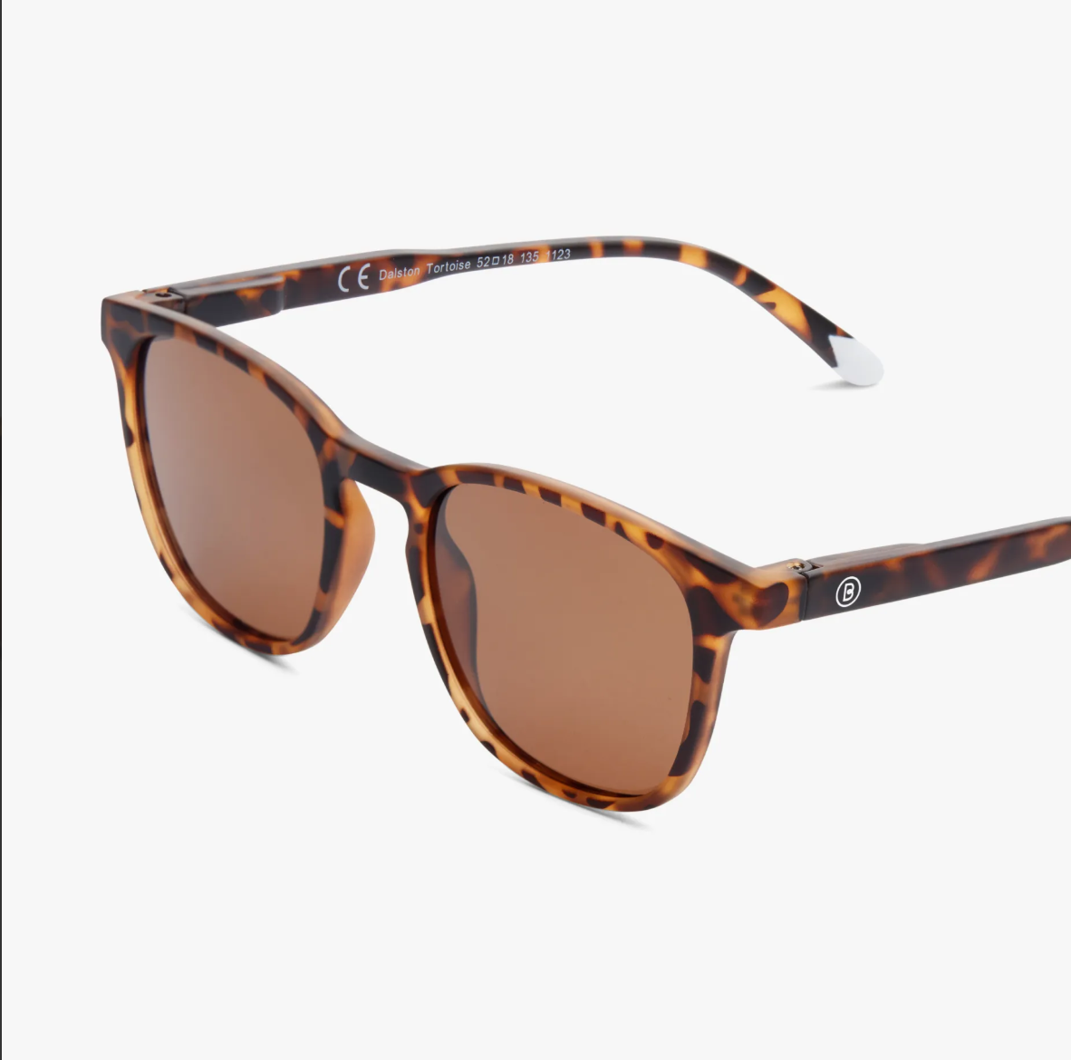 Dalston Tortoise Sun