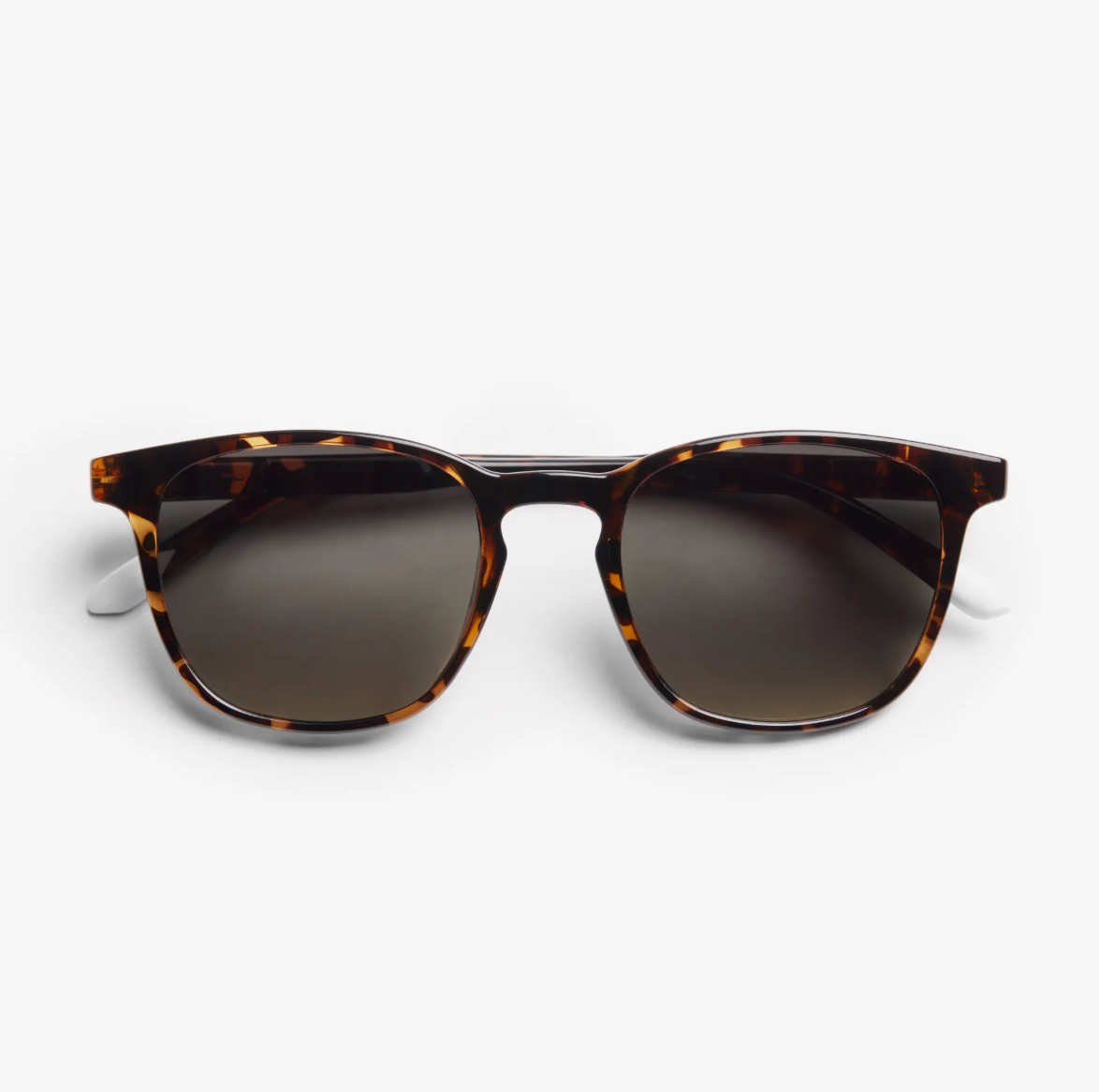 Dalston Tortoise Sun