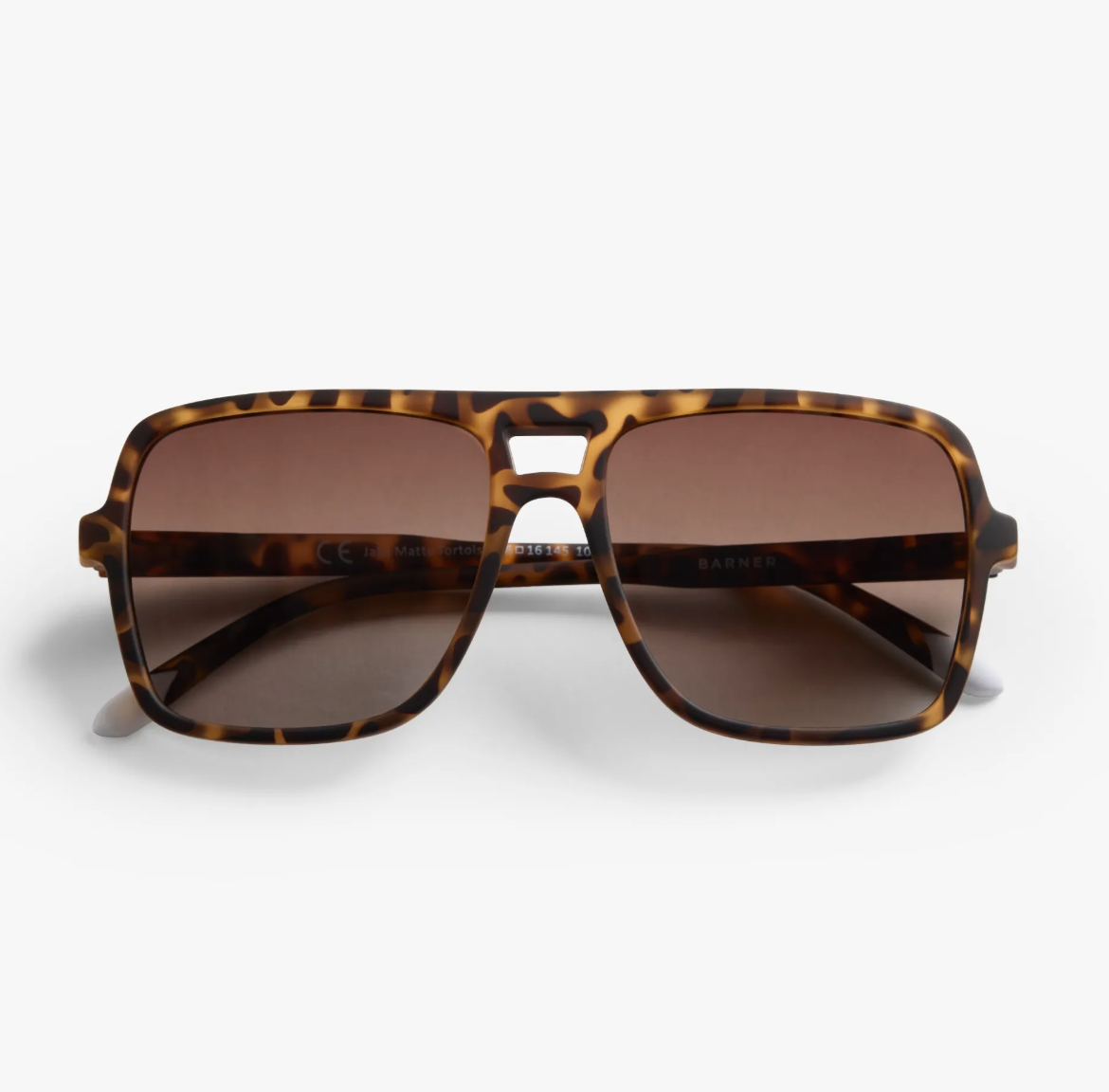 Jake Matte - Tortoise Sun