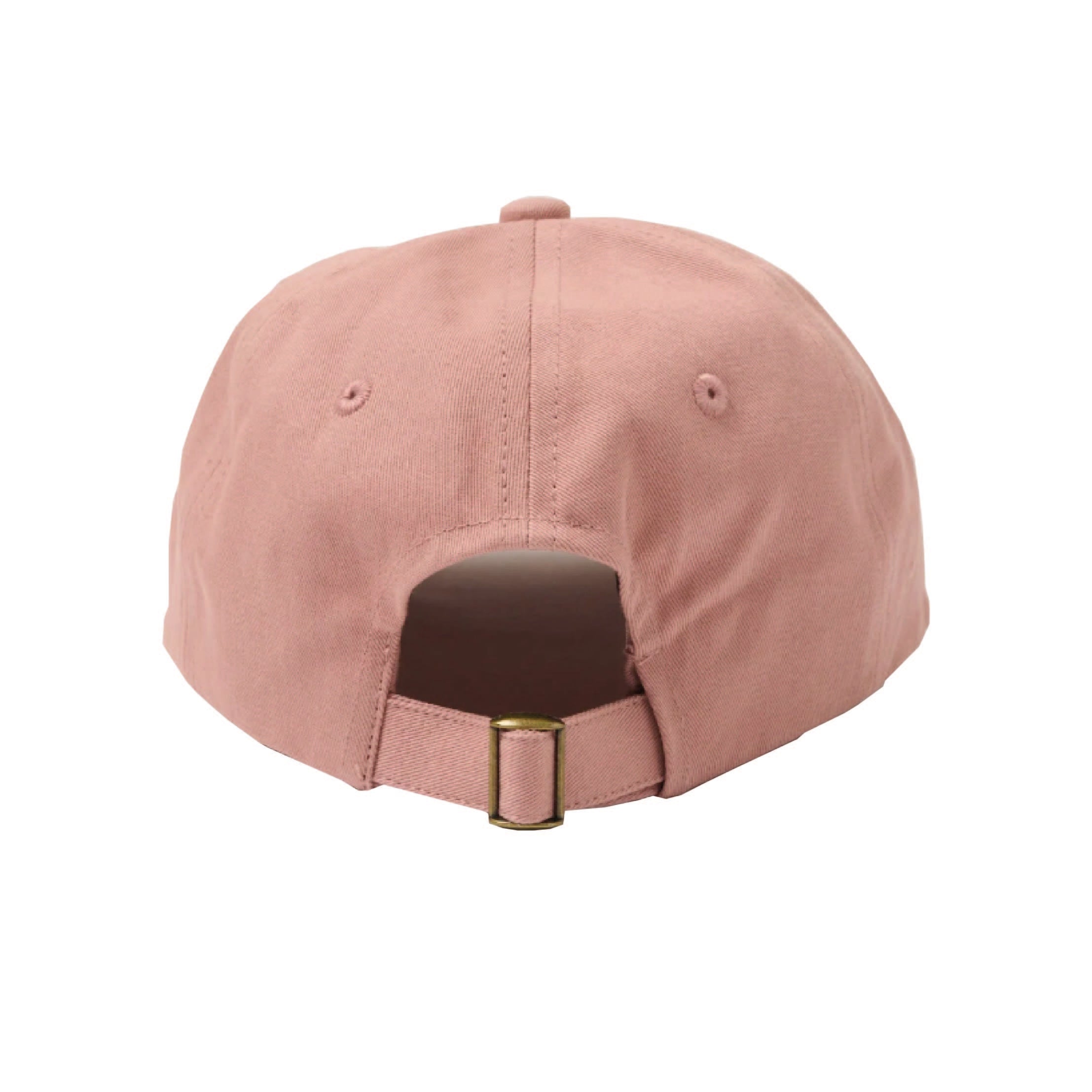 Merz b. Schwanen Swan Logo Cotton Twill Cap in Rosewood/Nature – back view