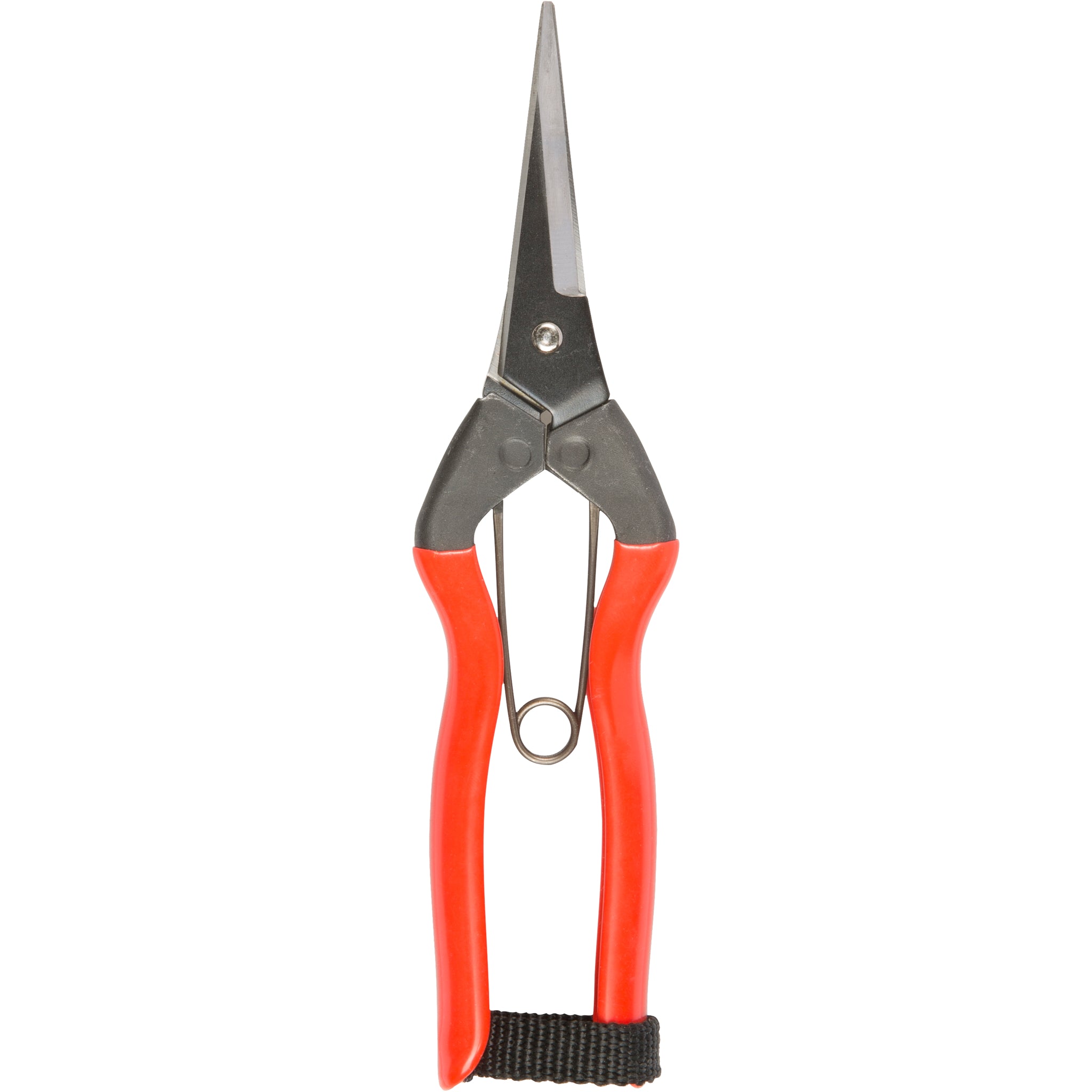 Garden Snips